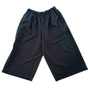 PLANET by Lauren G - Gaucho Pants (XL) NWOT